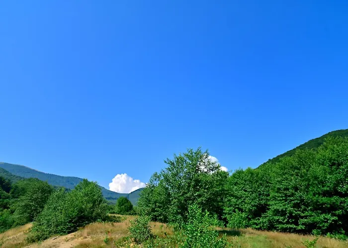 La Izvor Sadu